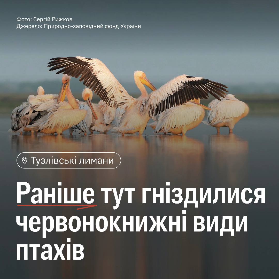 росія щодня нівечить природу України