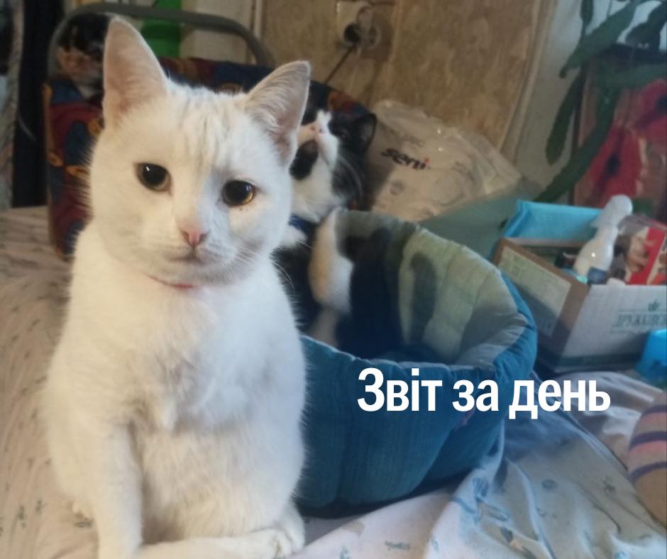 📌 1 018 день повномасштабного вторгнення