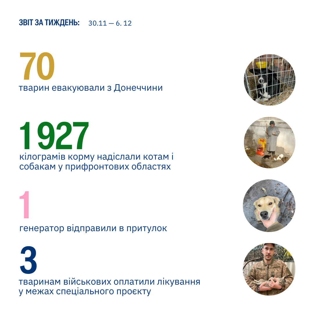 Сотні тварин підтримали, і десятки — врятували за перший тиждень зими❄️