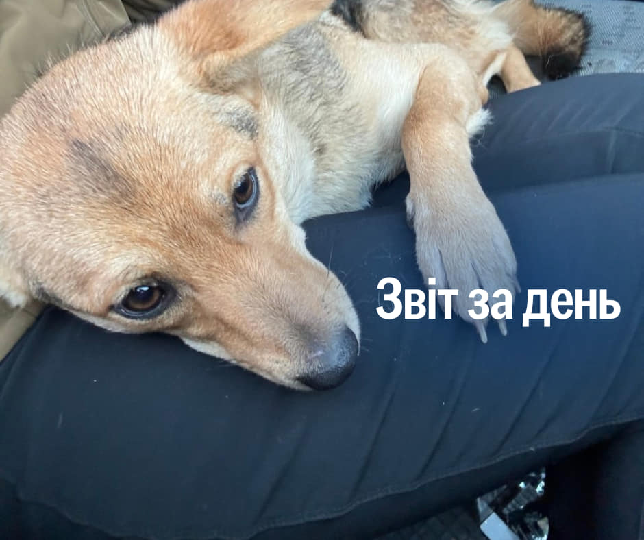 📌 1 017 день повномасштабного вторгнення