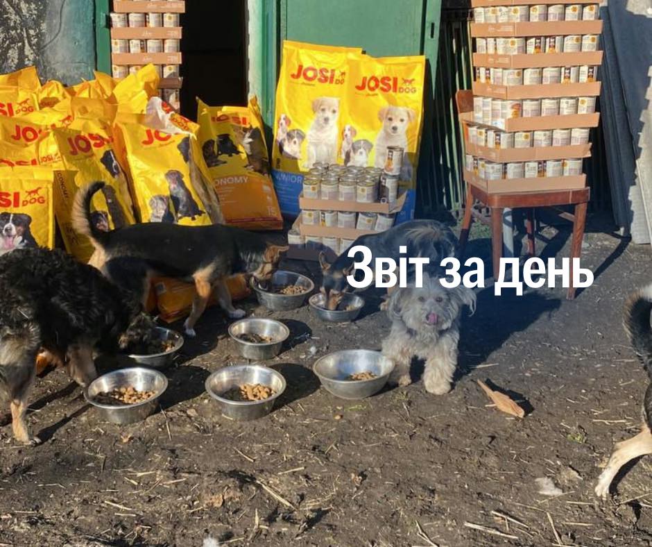 📌 1 019 день повномасштабного вторгнення