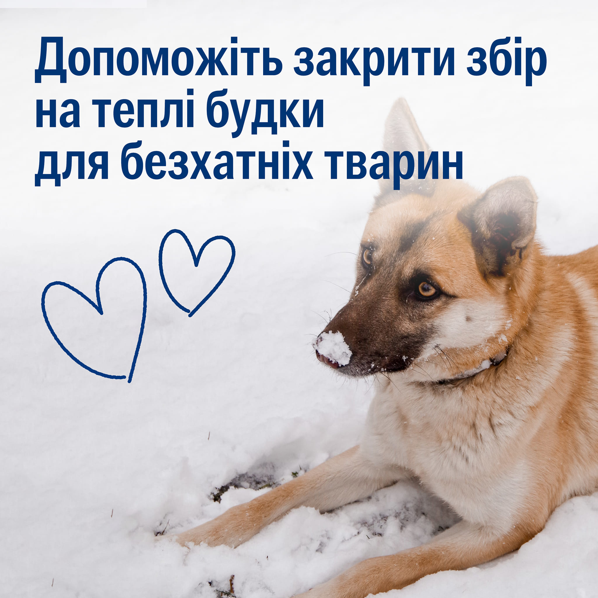 Залишилося зібрати на 5 теплих будок у прифронтові області🐶