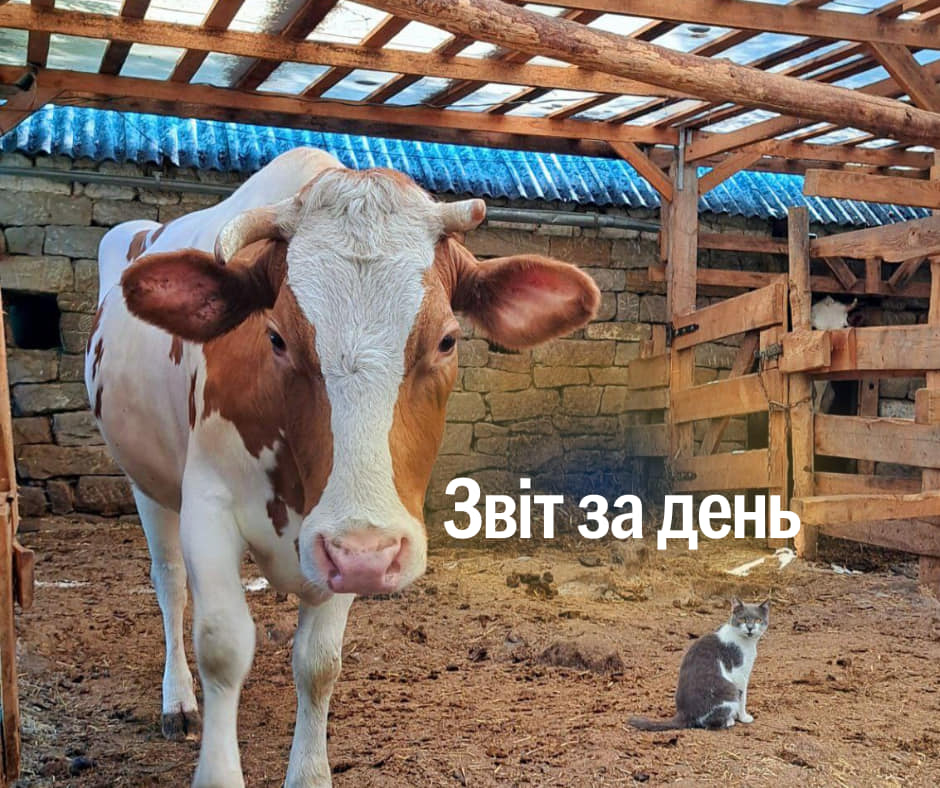 📌1 021 день повномасштабного вторгнення