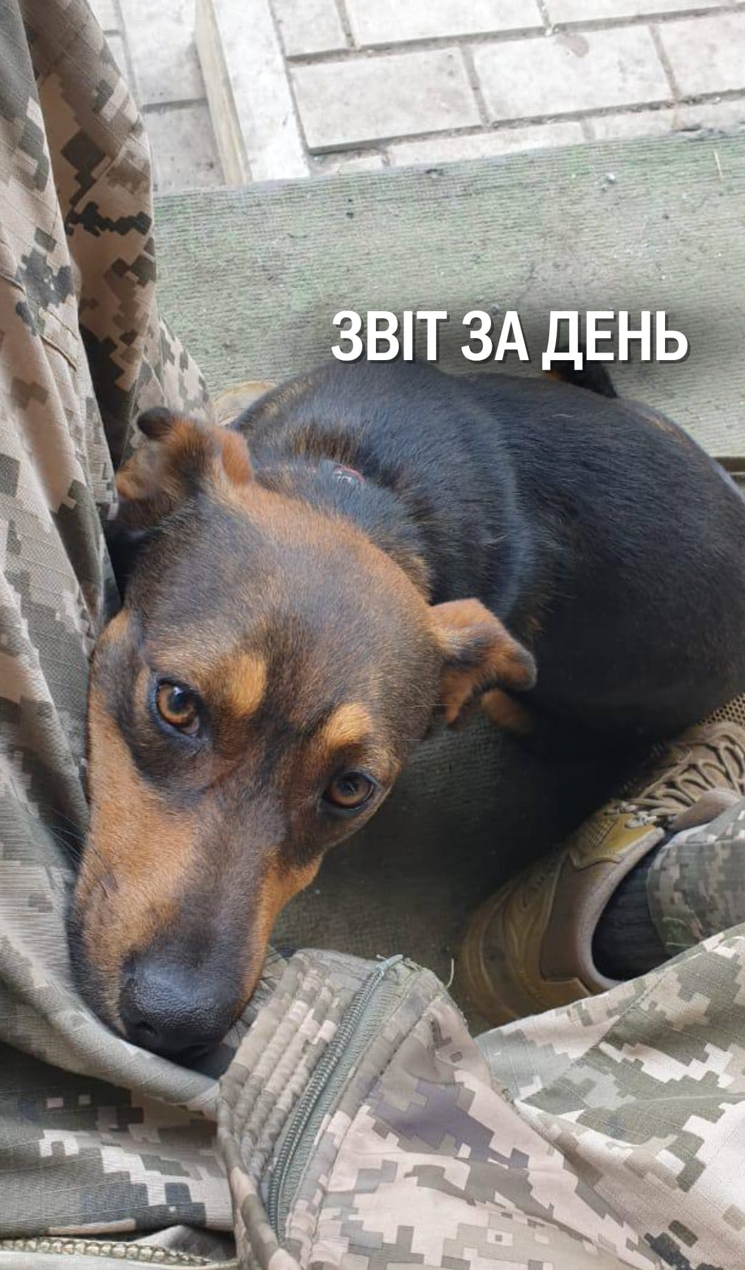 📌 1020 день повномасштабної війни