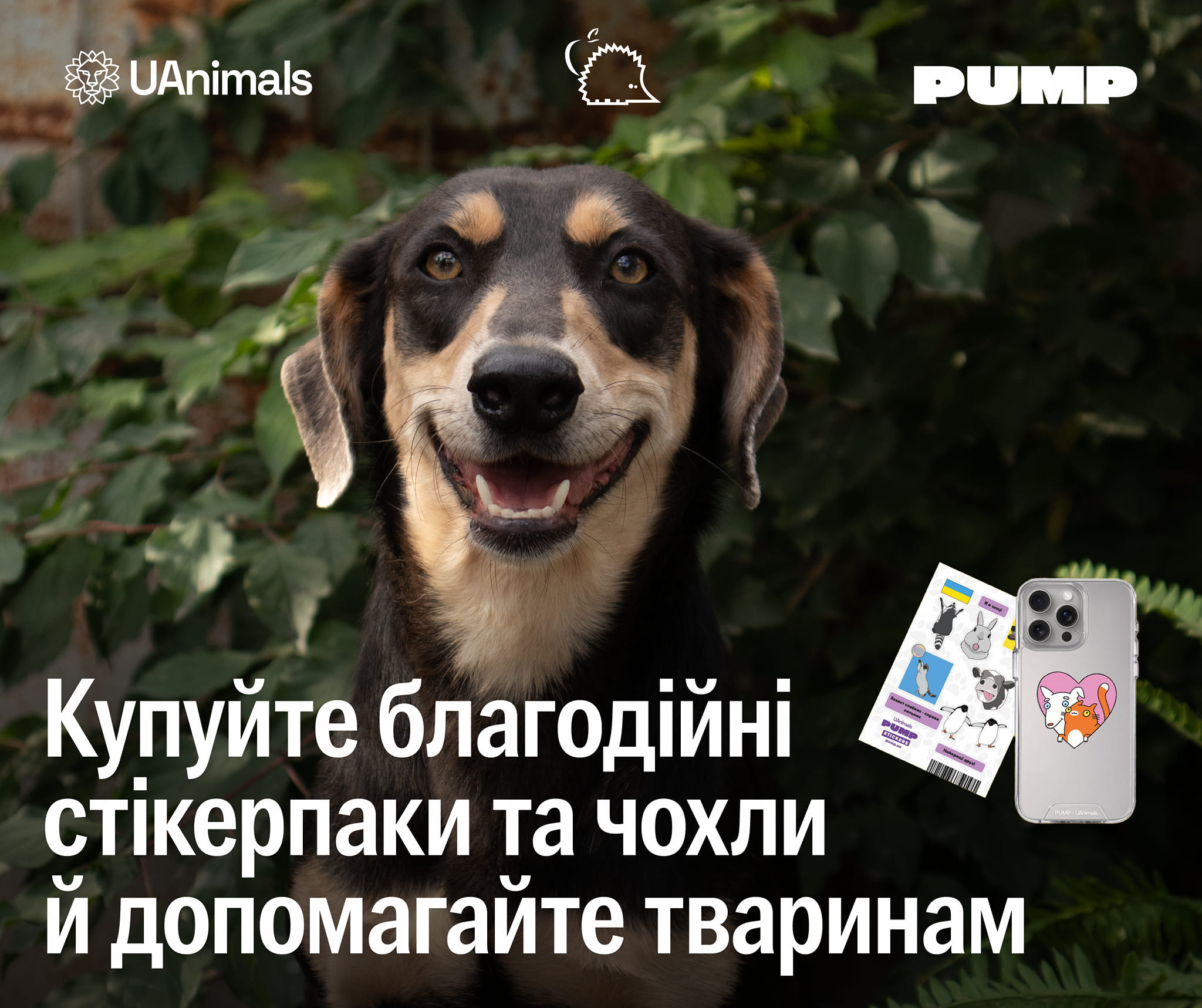 Техно Їжак x PUMP x UAnimals створили благодійну колекцію чохлів та стікерпак🧡