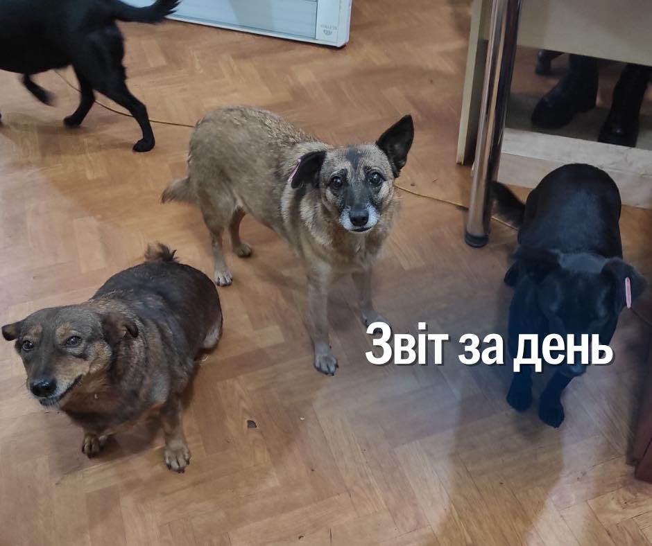 📌 1026 день повномасштабної війни