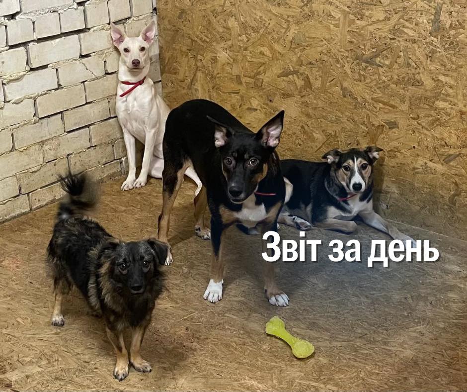 📌 1025 день повномасштабної війни
