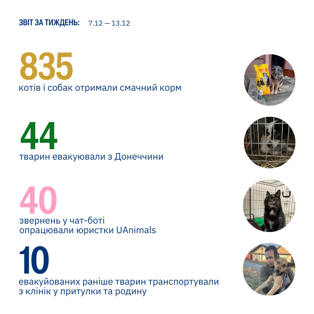 Життя дорожче за….все!