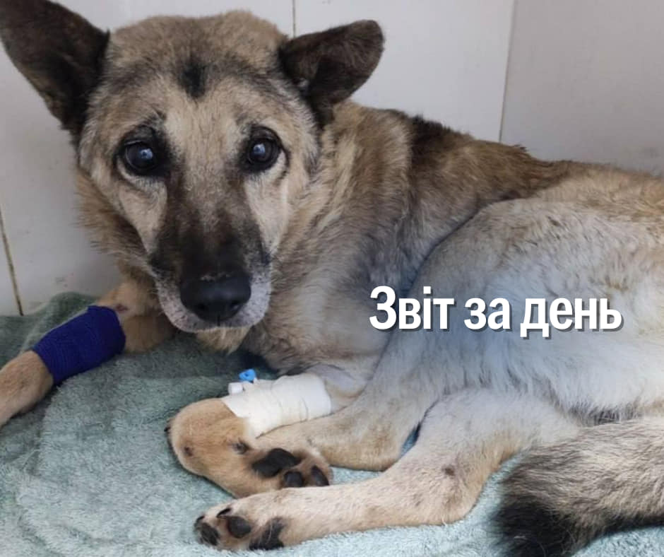 📌1024 день повномасштабної війни