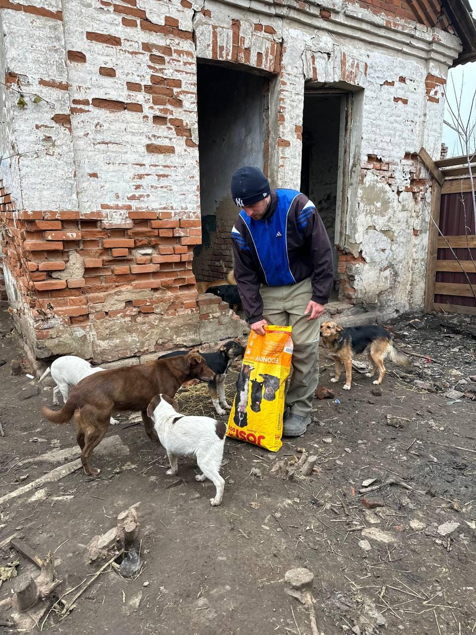 ⚡️UAnimals закупили понад тонну корму для евакуйованих тварин на Донеччині