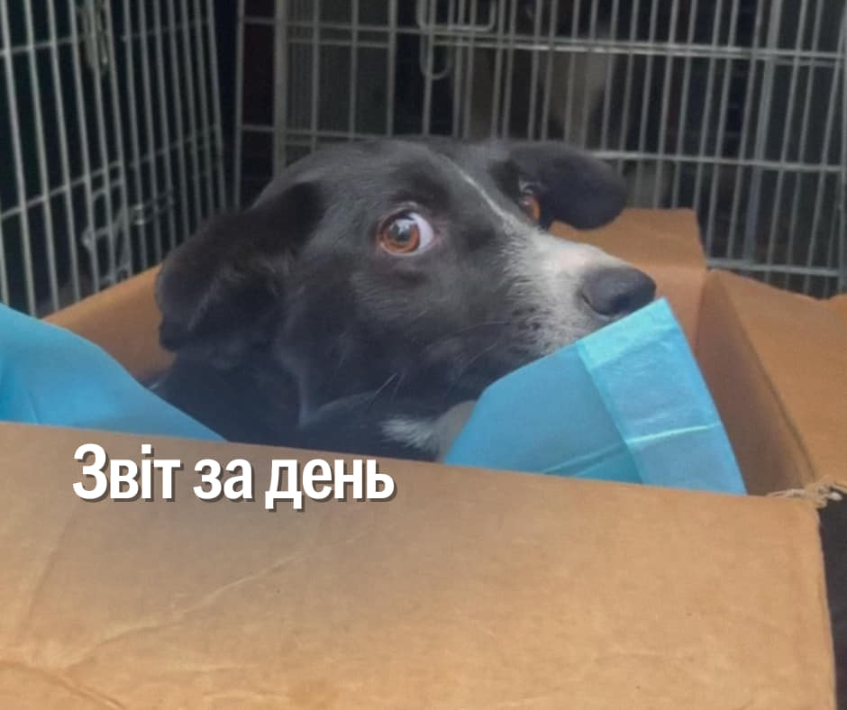 📌 1027 день повномасштабної війни