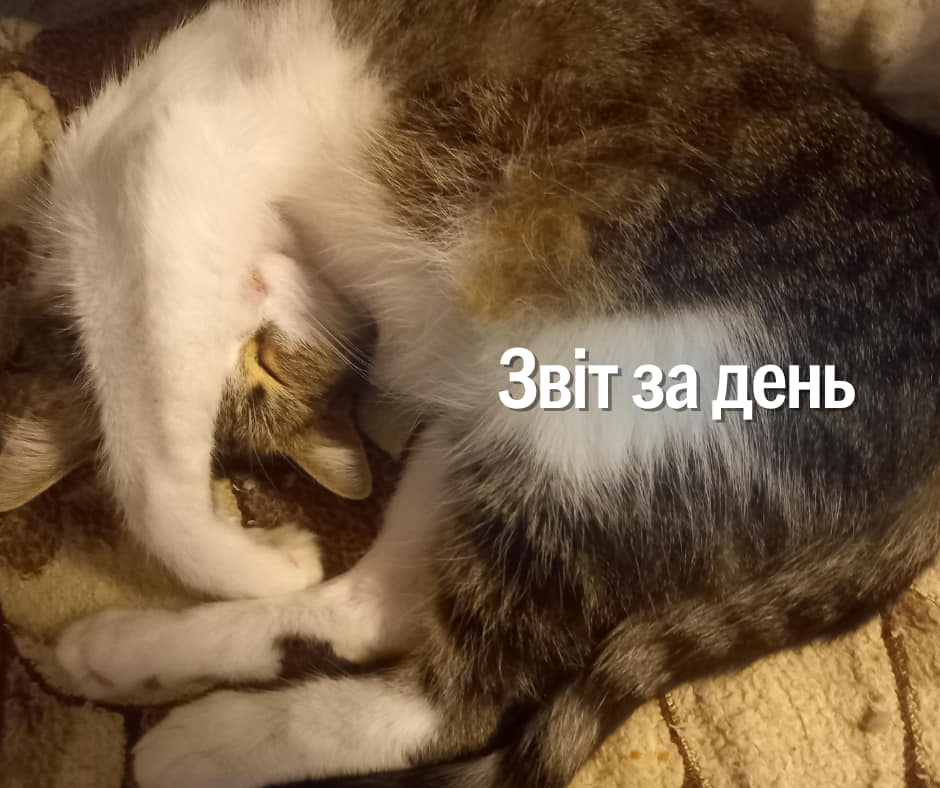 📌 1029 день повномасштабної війни