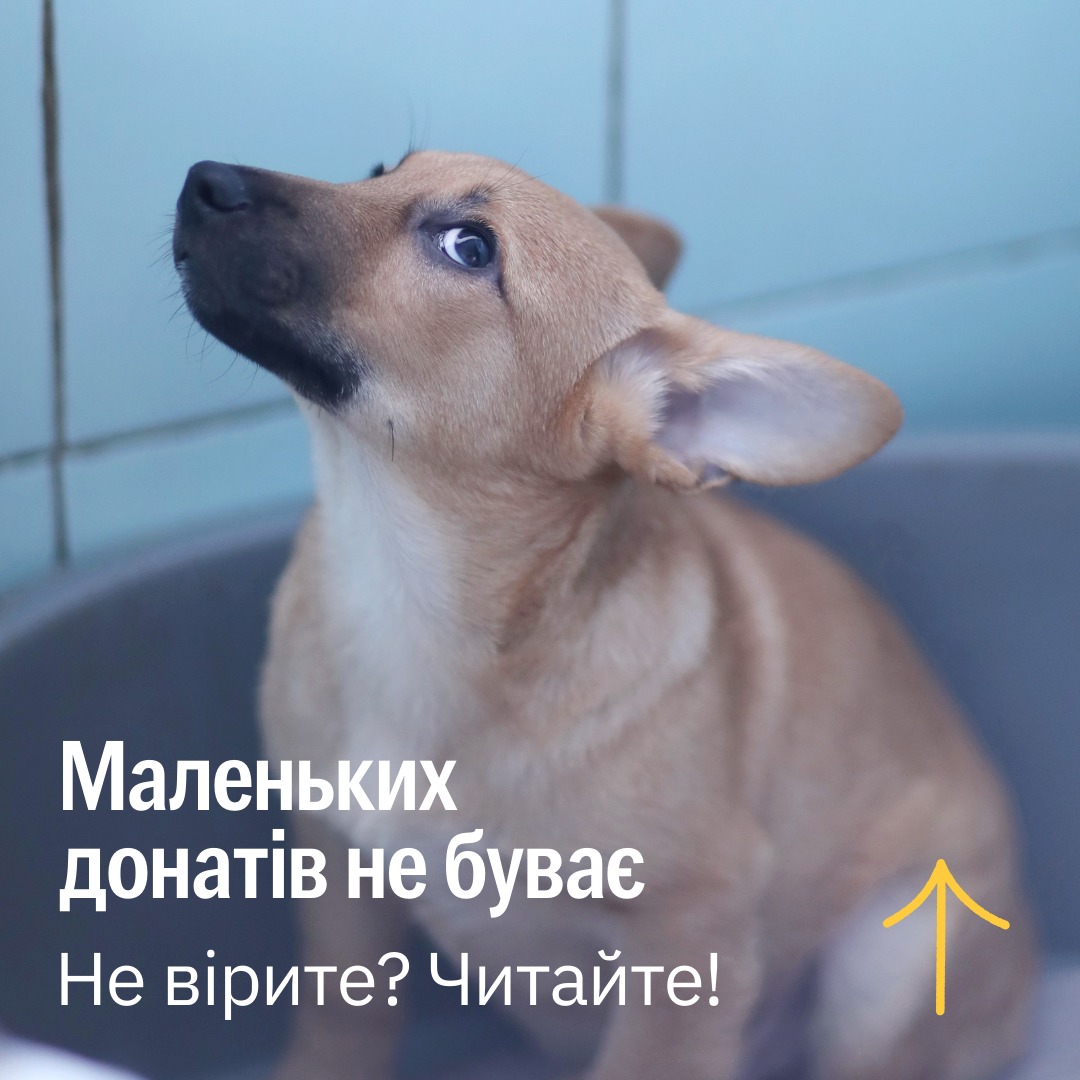 «Та шо там ті мої 10 гривень?»