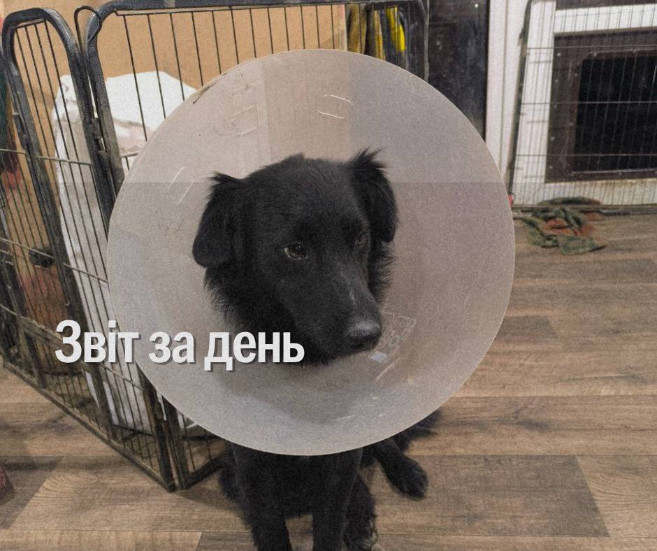 📌1 035 день повномасштабної війни