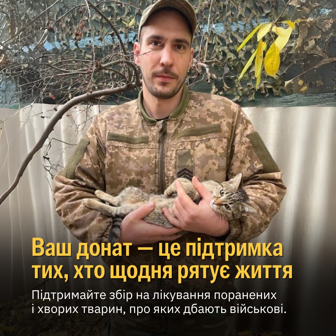 Кішка Елька, яку на фото тримає військовий, — з Часового Яру