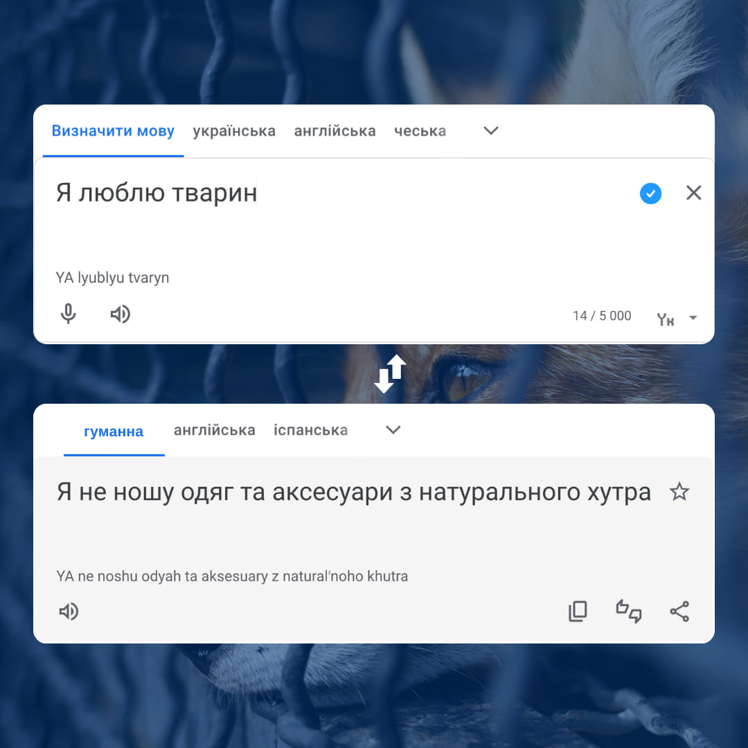 Кожна людина вкладає у поняття любові до тварин щось своє, і часом це можуть бути геть протилежні трактування
