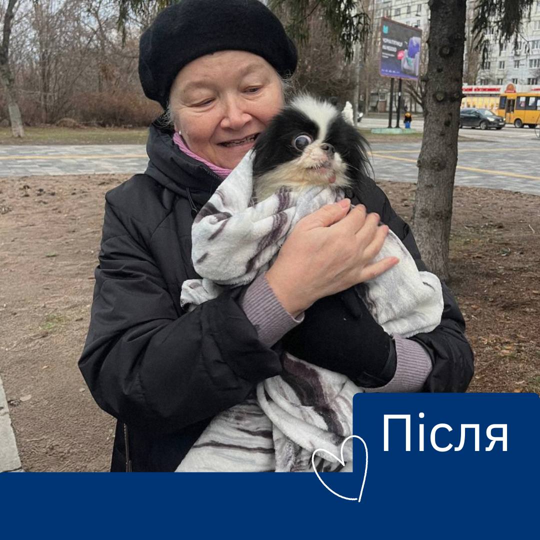 Евакуйований із Донеччини пес Хін знайшов нову сімʼю 💝🐶