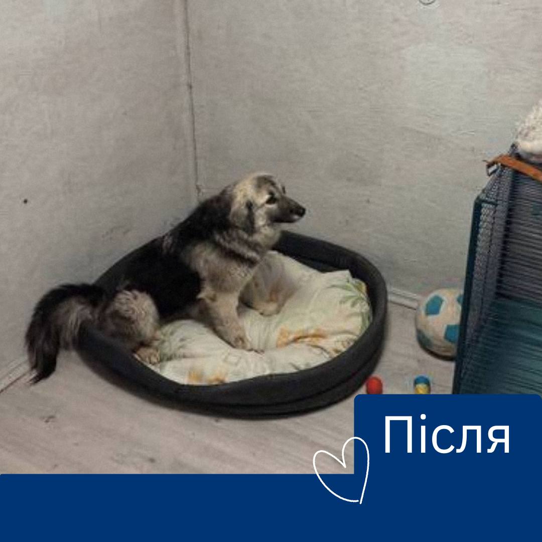Буля постраждала від обстрілу військової частини на Одещині 💔