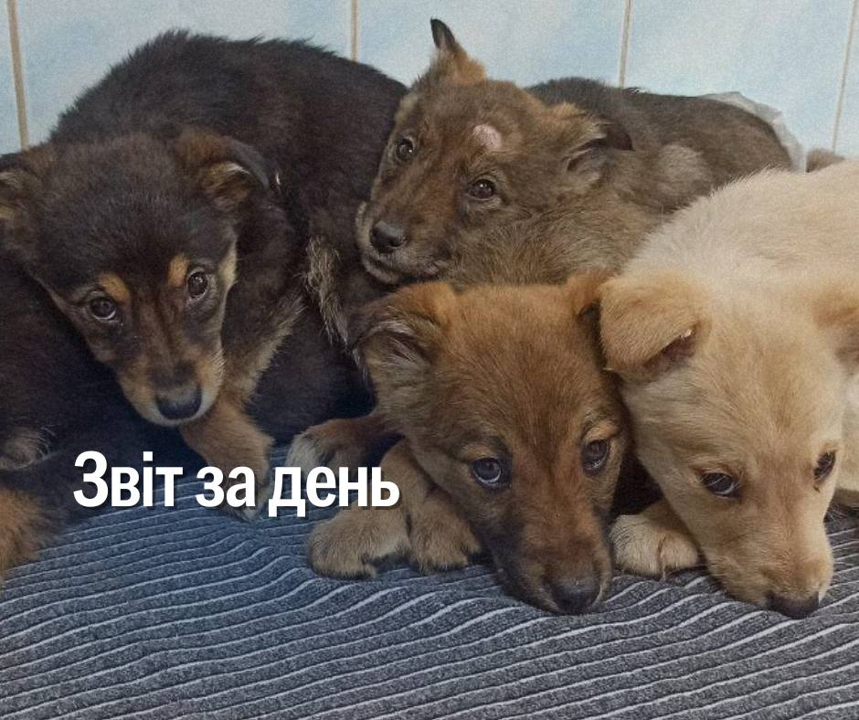 📌 1031 день повномасштабної війни
