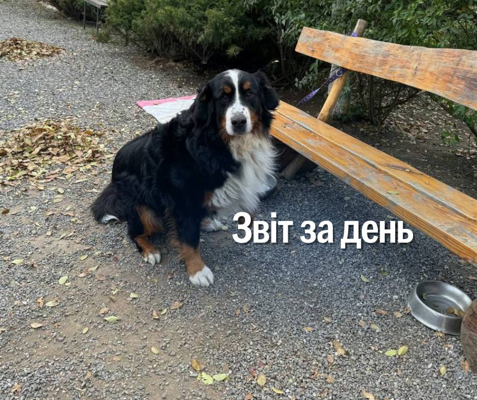 📌1 036 день повномасштабної війни