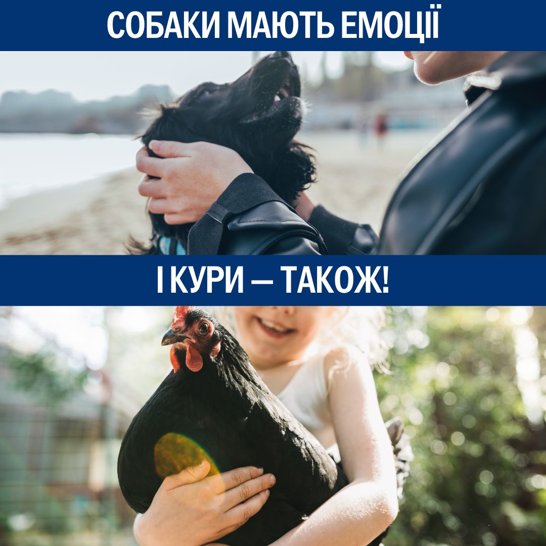 Вони схожі більше, ніж здається!