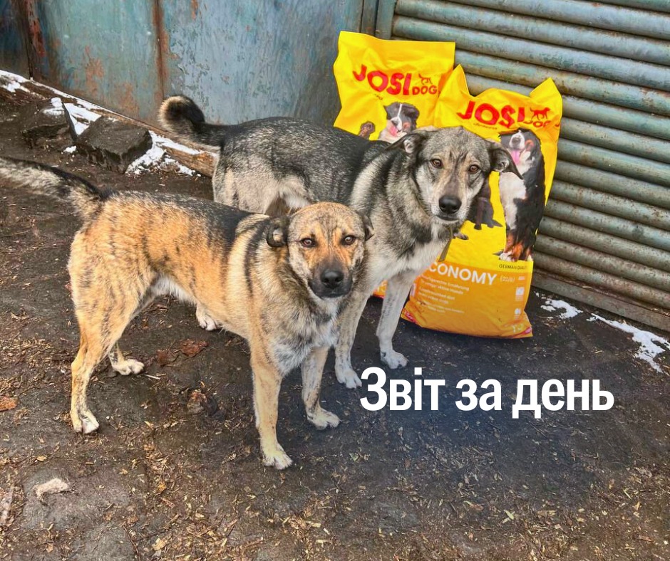 1033 день повномасштабної війни
