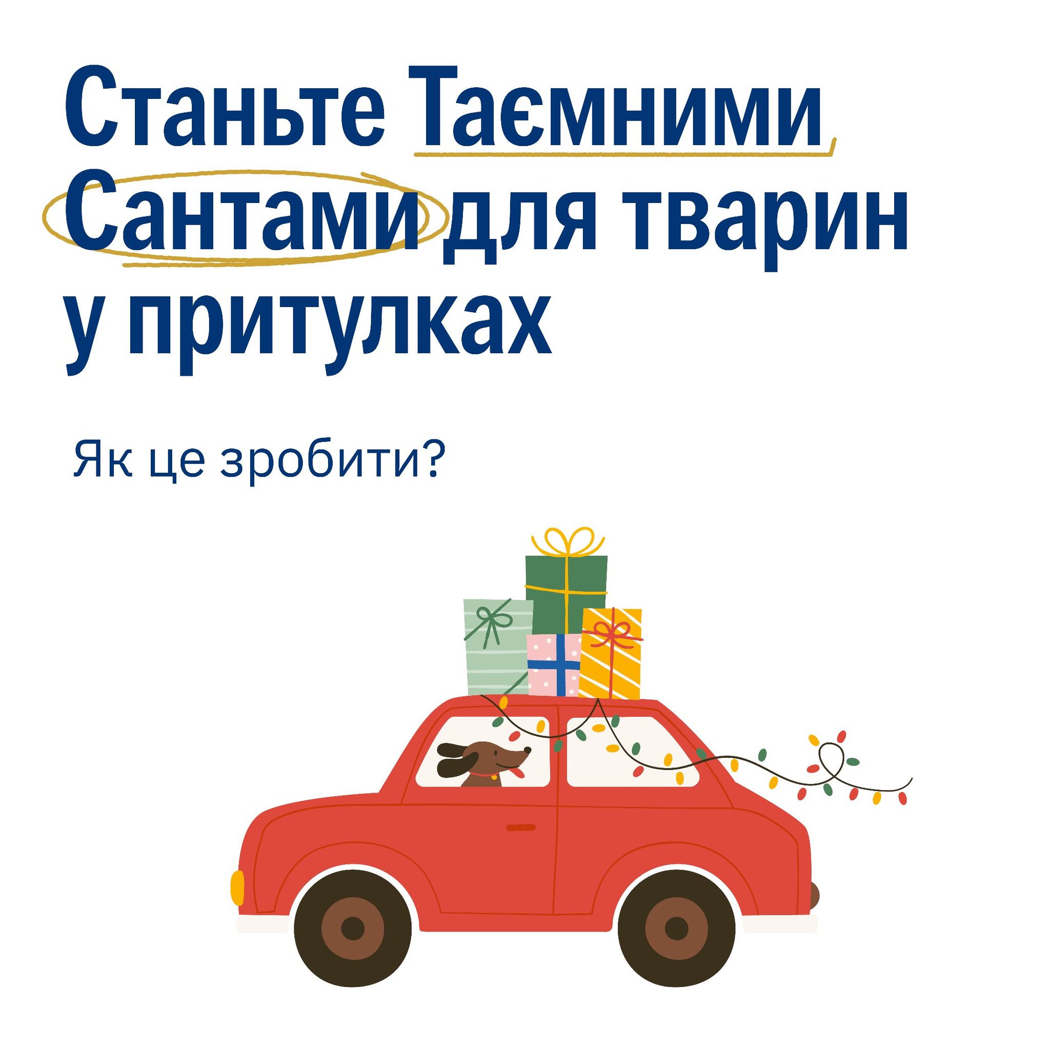 Подаруйте свято тваринам у притулках 🐾💝