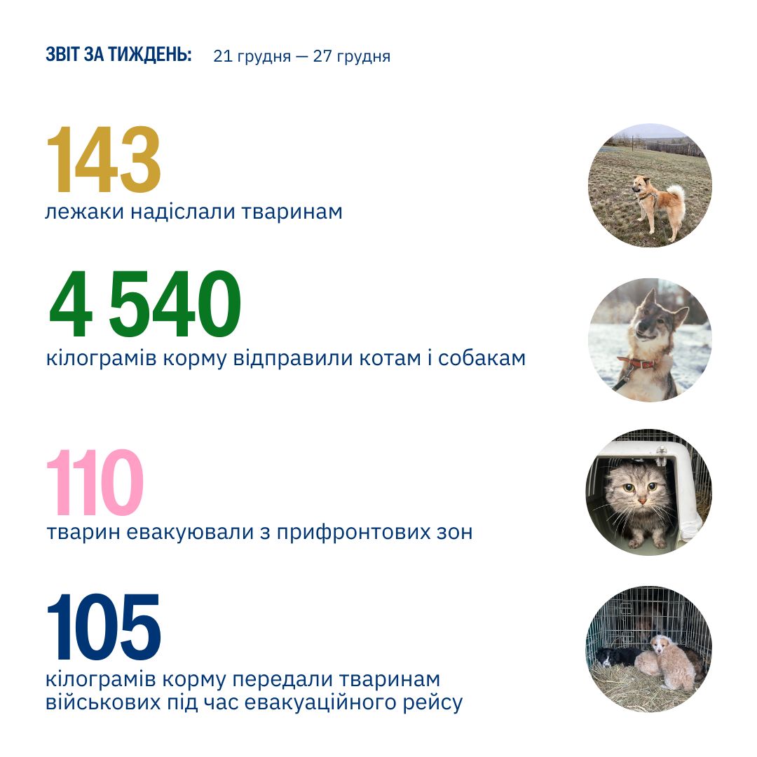 Дива трапляються там, де їх створюють! 💫