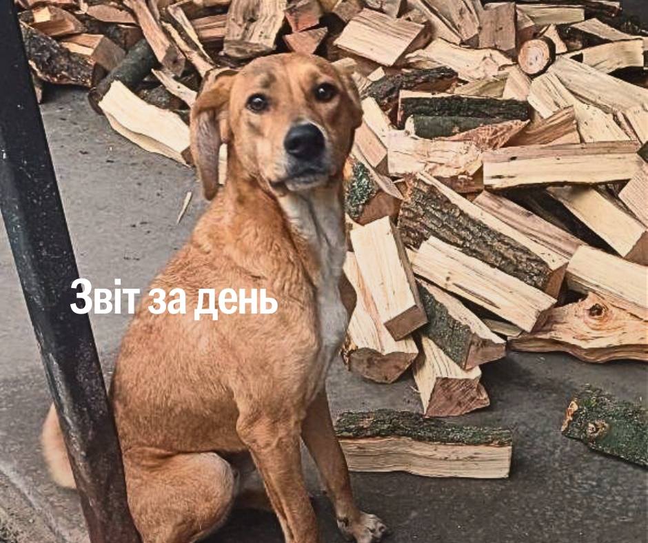 1041 день повномасштабного вторгнення