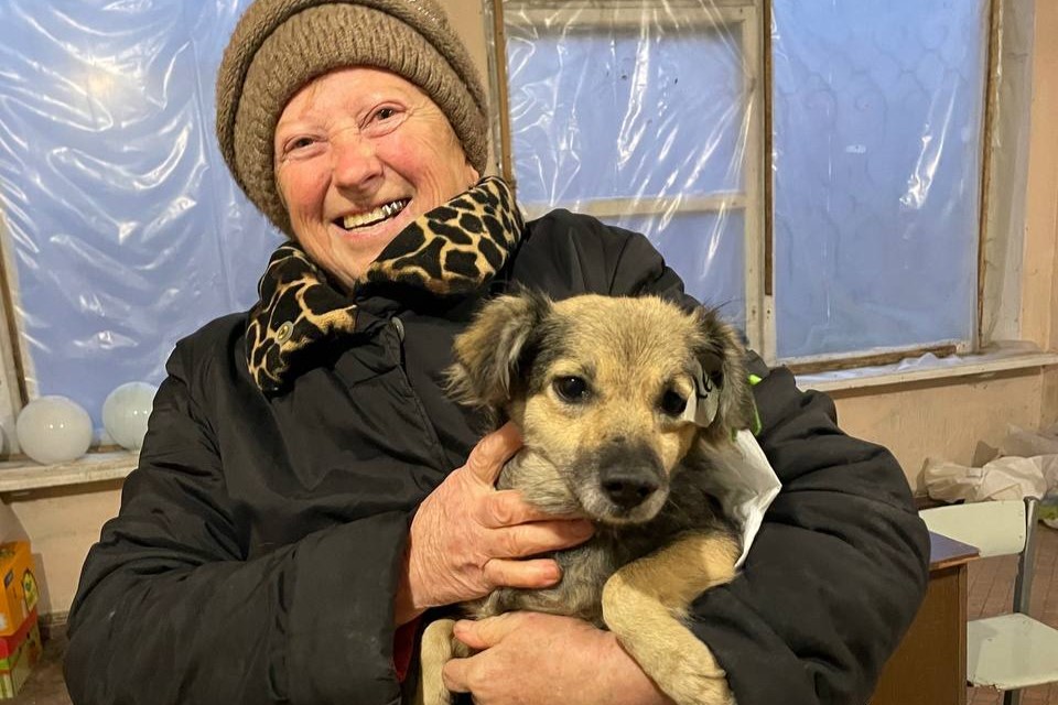 385 тварин отримали допомогу під час ветмісії на Дніпропетровщині