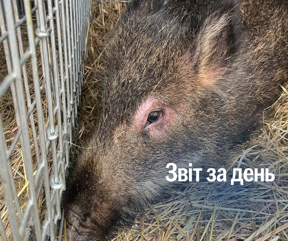 📌 1056 день повномасштабної війни