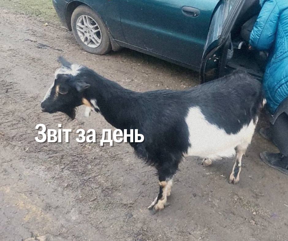 📌1 042 день повномасштабного вторгнення