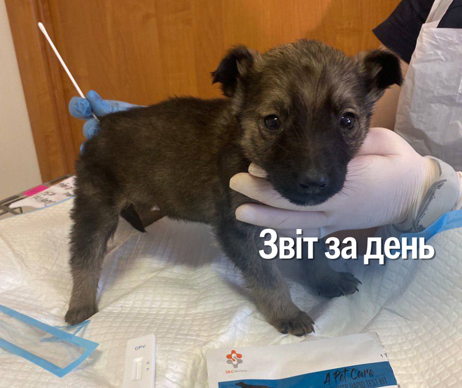 📌1 044 день повномасштабної війни і другий день 2025 року