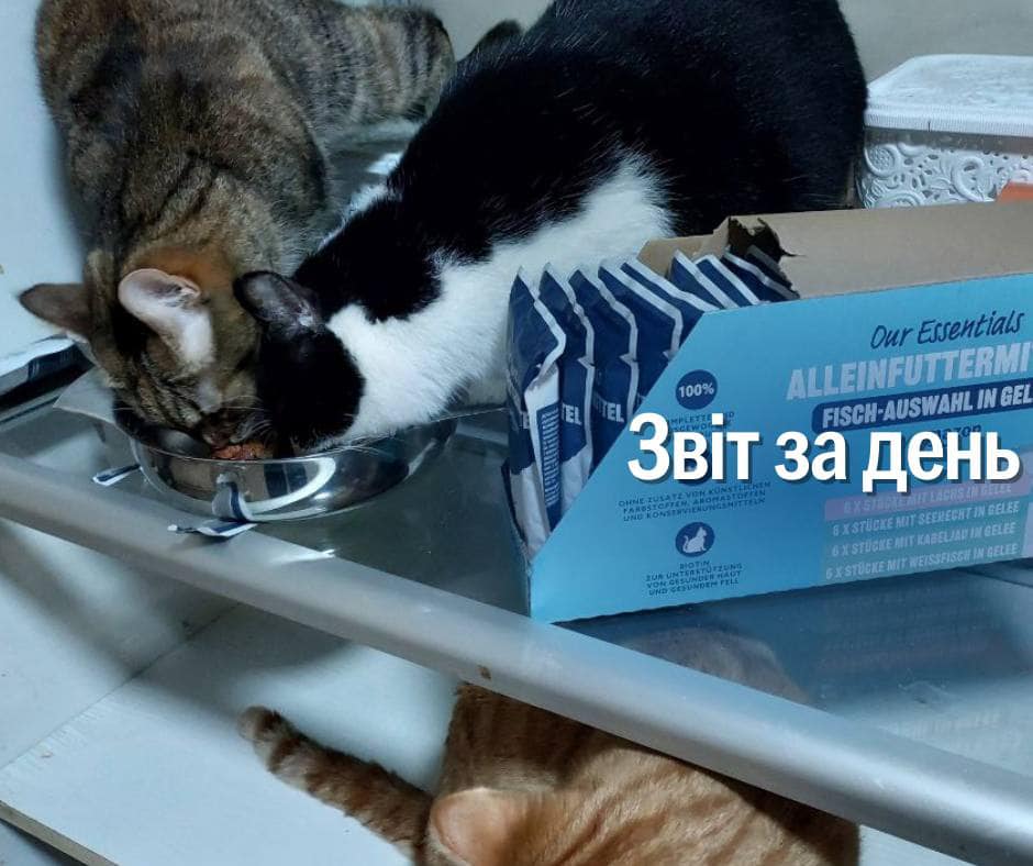 📌 1 046 день повномасштабного вторгнення