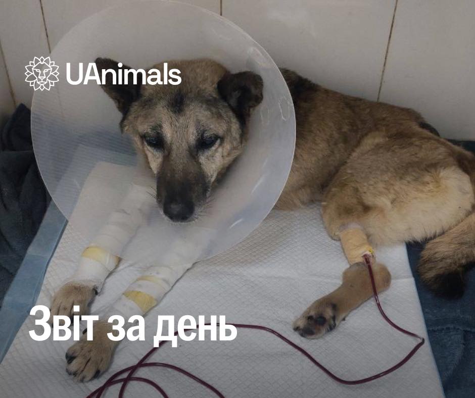 📌Сьогодні 1 043 день повномасштабної війни та перший день нового року