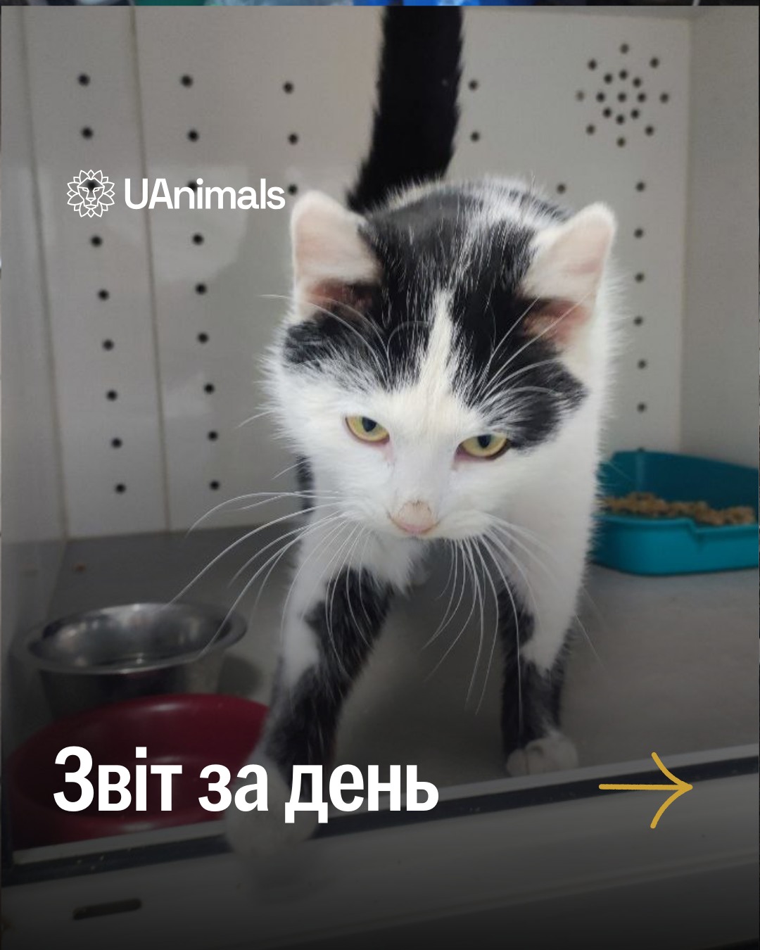 📌 1055 день повномасштабної війни