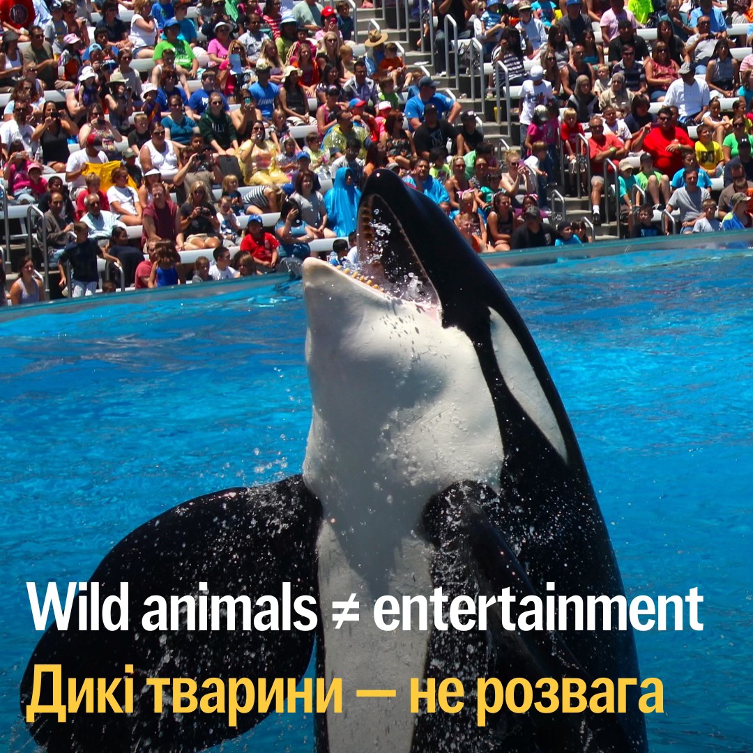 📢 Найбільший морський зоопарк Європи зачинився відповідно до закону про права тварин 🇫🇷