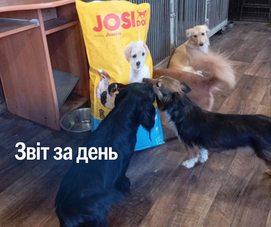 📌 1 050 день повномасштабної війни