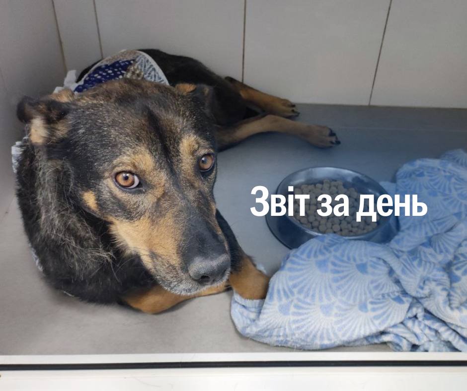 📌 1 052 день повномасштабної війни
