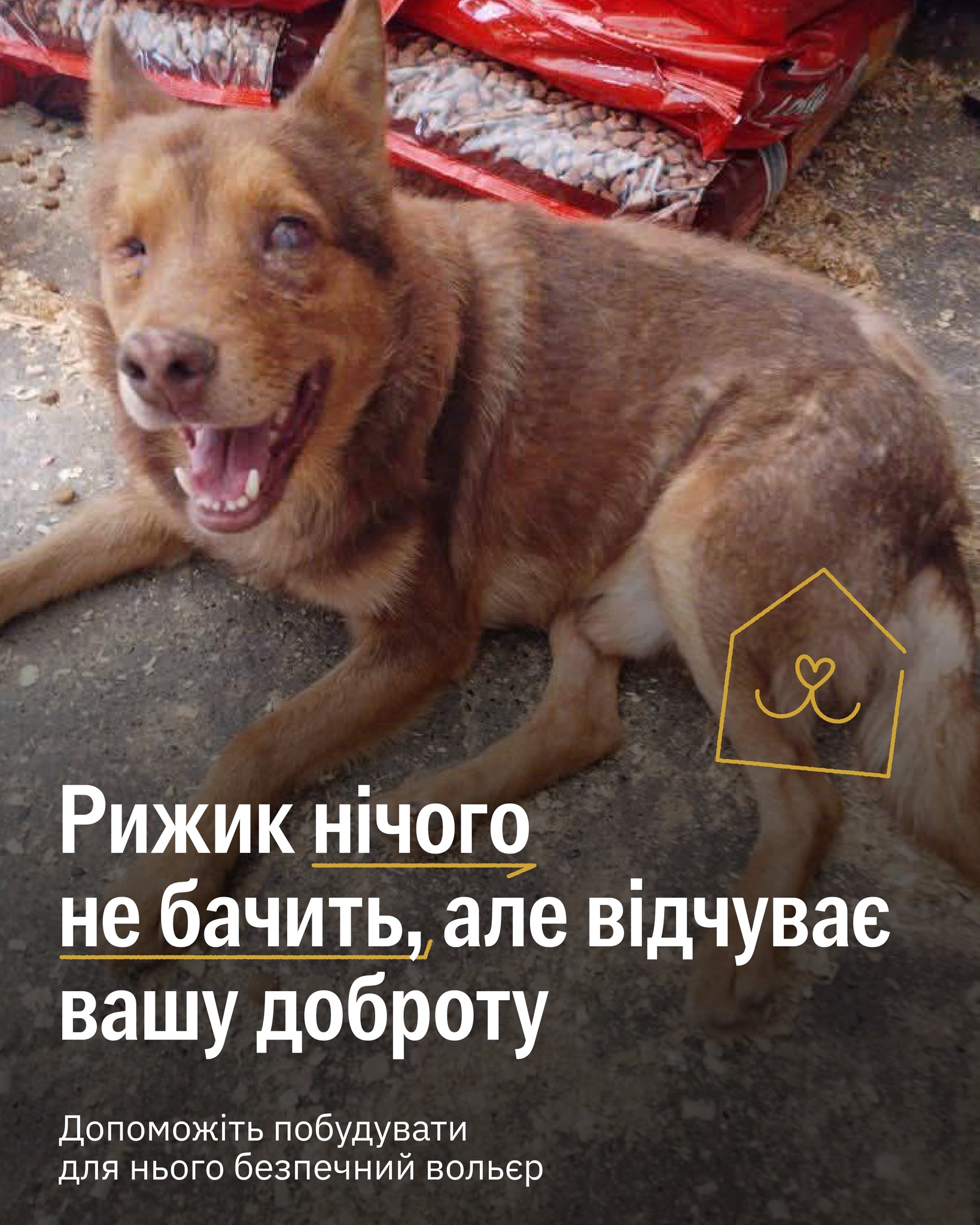 Рижика знайшли з пробитим черепом на трасі 😨