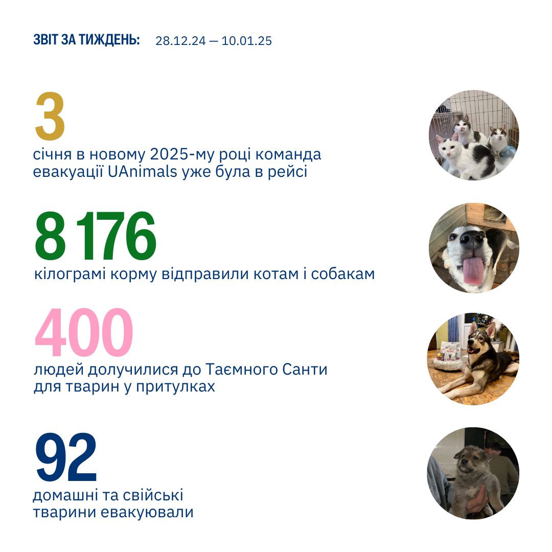 Так, звітуємо про допомогу тваринам аж за два тижні:) 🤩