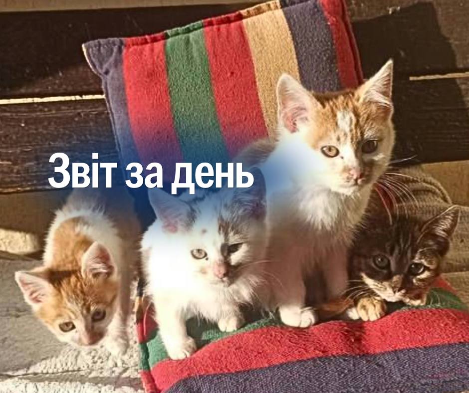 📌1053 день повномасштабного вторгнення