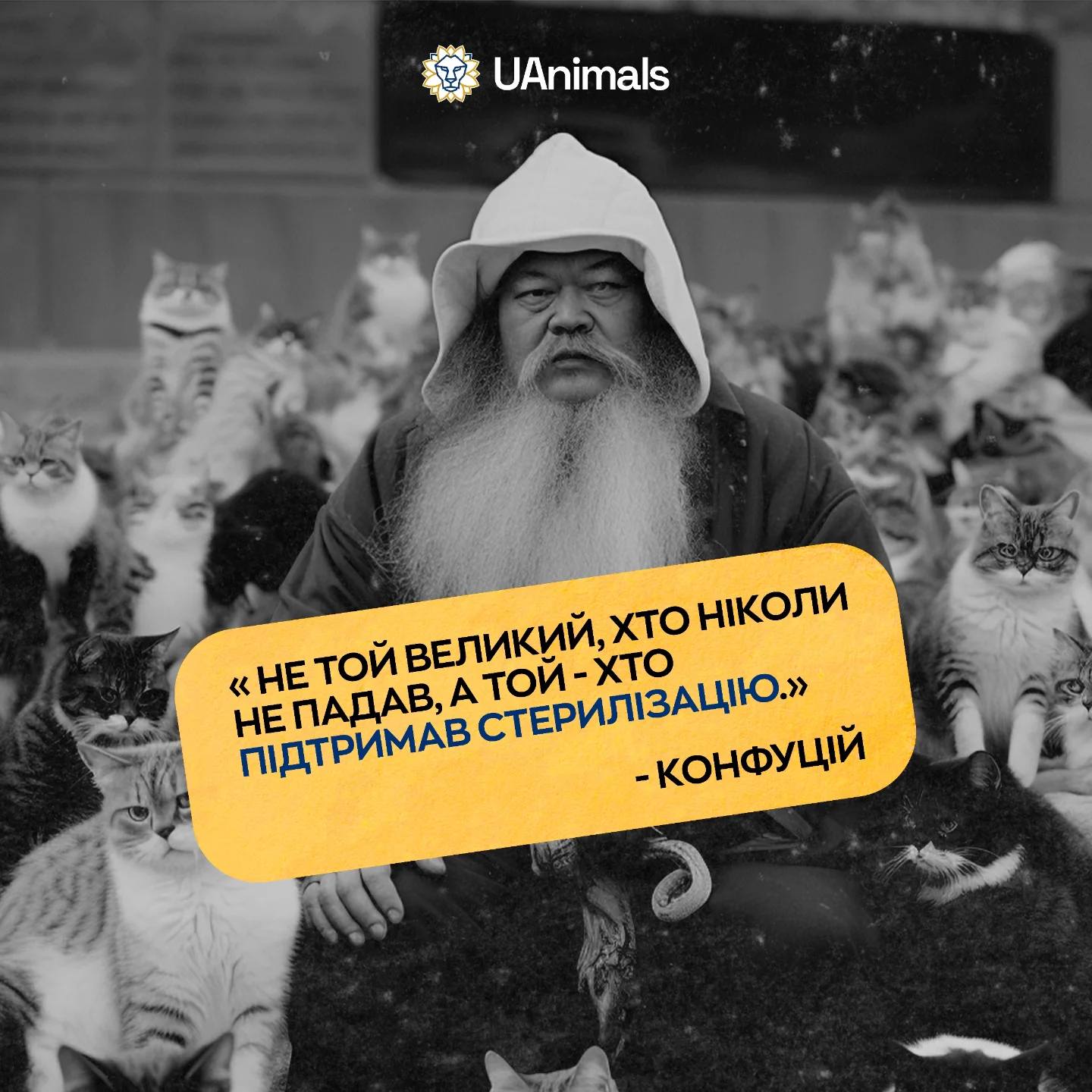 Вічна класика 😁🙏