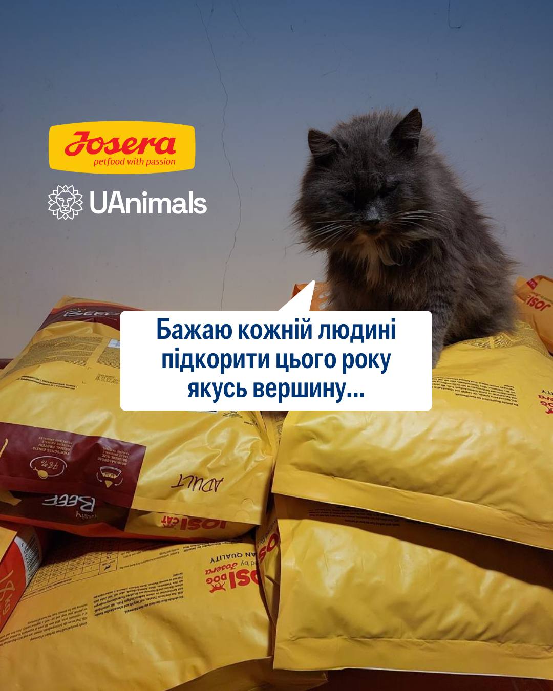 Підкорювати вершини легше з надійними друзями 🐶🏔