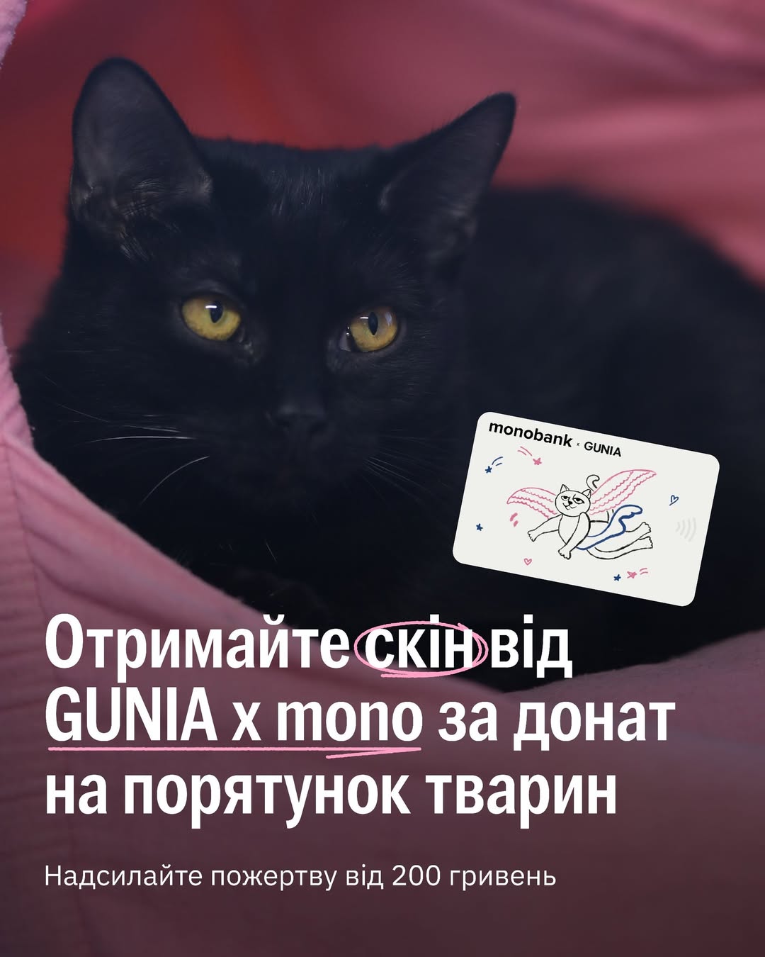 Ваша картка монобанку перетвориться на крилатого кота….