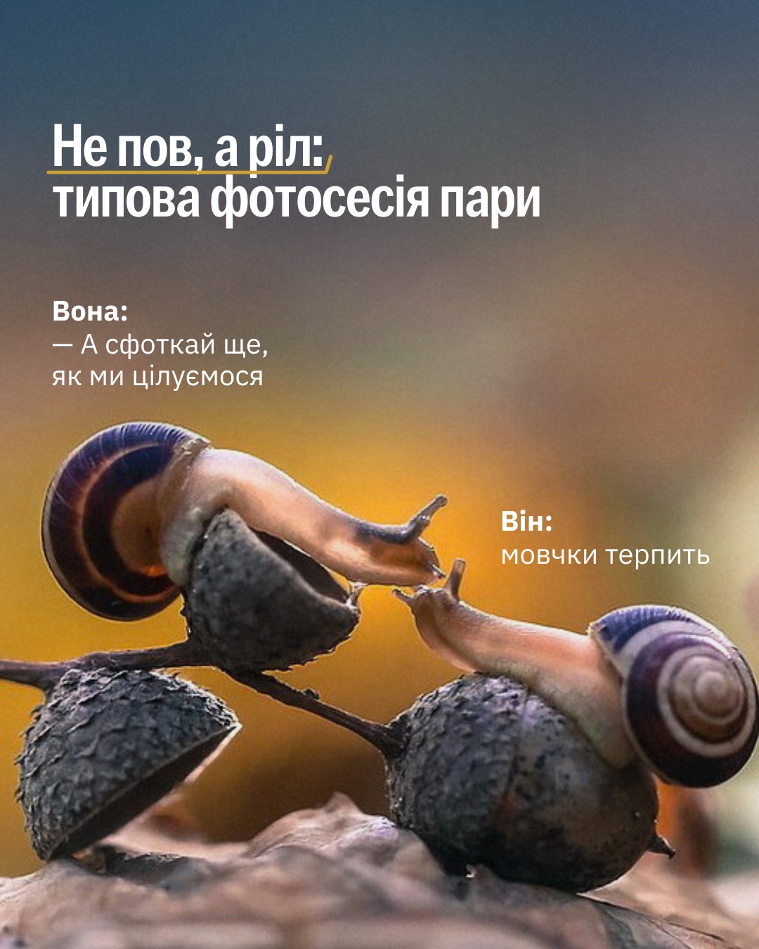 Впізнали себе на якомусь із мемів? 😃🦊