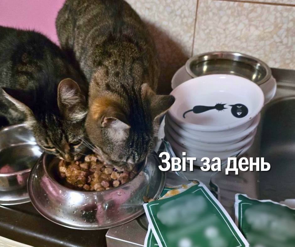 📌 1060 день повномасштабного вторгнення