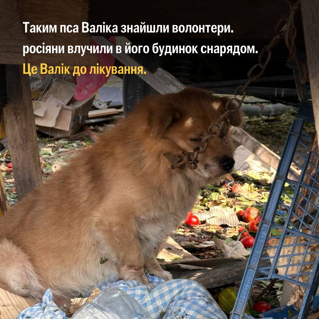 “Мій донат нічого не змінить”