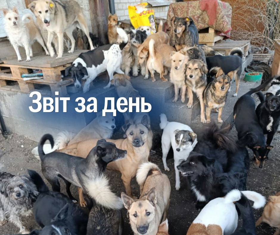 📌 День 1054 повномасштабного вторгнення