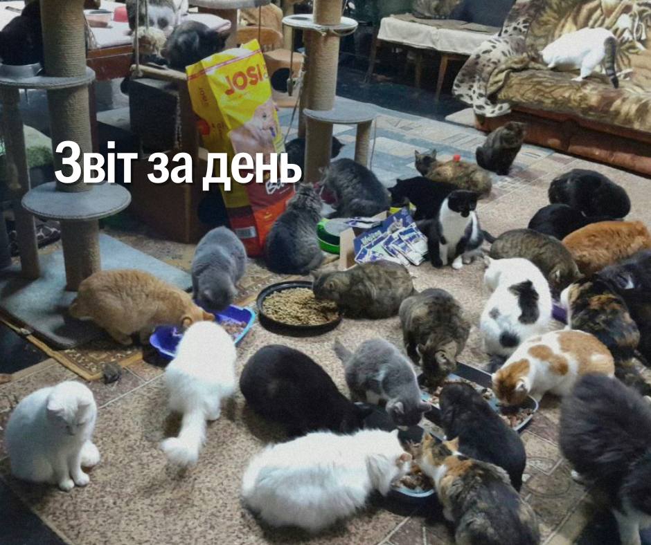 📌 1061 день повномасштабного вторгнення